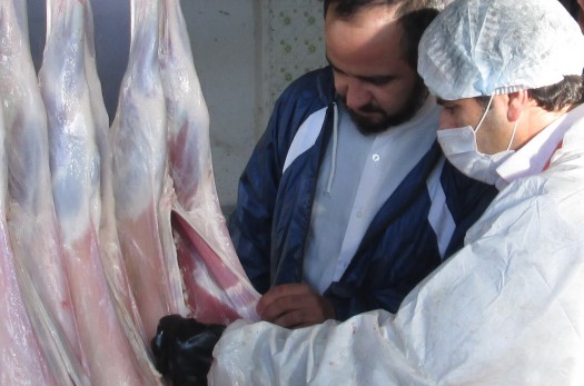 نظارت دامپزشکی بر استحصال بیش‌‌از 15 تن گوشت قرمز در نهبندان
