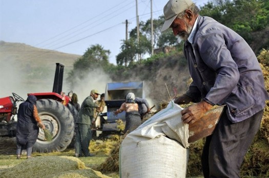 ۴۰ هزار کشاورز از ‌‌صندوق بیمه کشاورزان مستمری دریافت می‌کنند‌