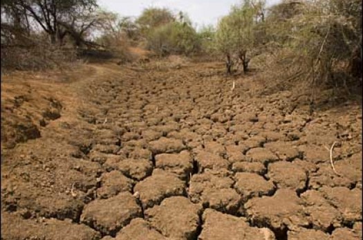 قلب روستاهای بیرجند از خشکسالی می‌تپد