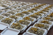 توزیع 2 هزار و 620 سبد غذایی بین مدد جویان بهزیستی خراسان جنوبی