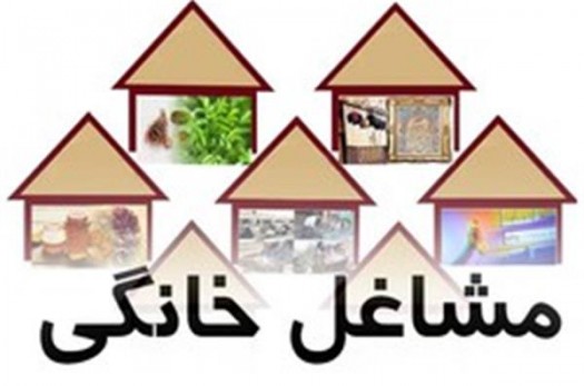 صدور 324 مجوز مشاغل خانگی در شهر بیرجند