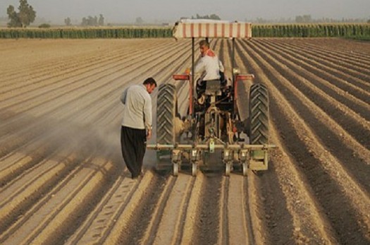 بهره برداری از 10 طرح کشاورزی در نهبندان آغاز شد