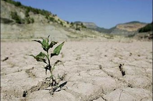 75 درصد خراسان جنوبی درگیر خشکسالی شدید است