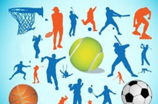 راه‌یابی ۴ والیبالیست خراسان‌جنوبی به اردوی تیم ملی/ کسب ۱۲ مدال رنگی توسط ورزشکاران استان