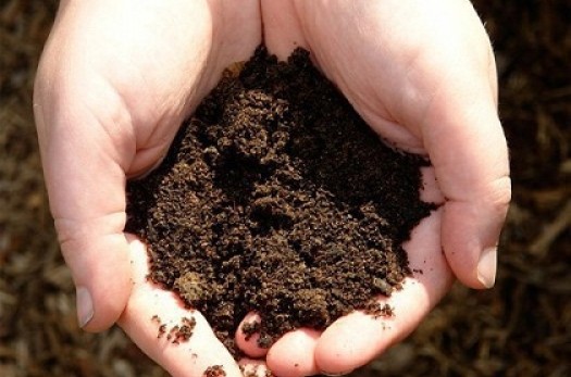 مدیریت نادرست اراضی، از عوامل اساسی فرسایش خاک است