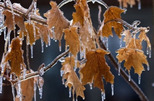 سرما در خراسان جنوبی باعث یخبندان می‌شود