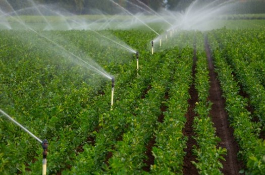 افزایش ۲۰ درصدی راندمان آبیاری در استان/ افتتاح ۶٣۵ پروژه کشاورزی در دهه فجر