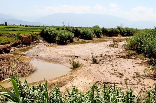 مخاطرات طبیعی بالغ بر یک هزار میلیارد تومان به بخش کشاورزی خراسان جنوبی خسارت زد