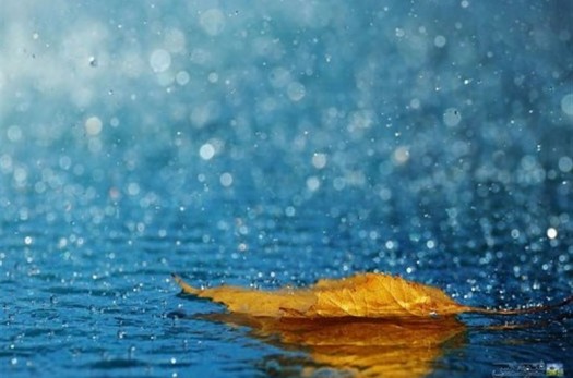 باران در ۷ استان شدت می‌گیرد؛ احتمال آبگرفتگی معابر برای ۹ استان