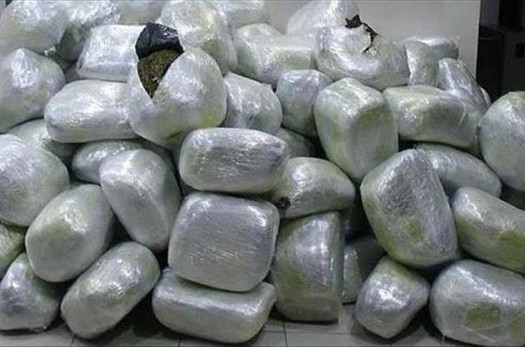 انهدام باند توزیع و حمل مواد مخدر در خراسان‌جنوبی/ ۲۲۵ کیلو تریاک کشف شد