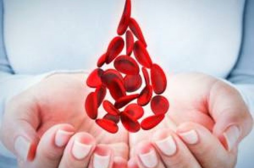 ۴۱۹ داوطلب جمعیت هلال‌احمر خراسان‌جنوبی به یاری نیازمندان خونی شتافتند
