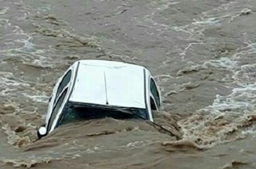 خسارت سیلاب در خراسان‌جنوبی | از تلف شدن ۳۰ رأس دام تا نجات ۱۴ نفر از مرگ حتمی