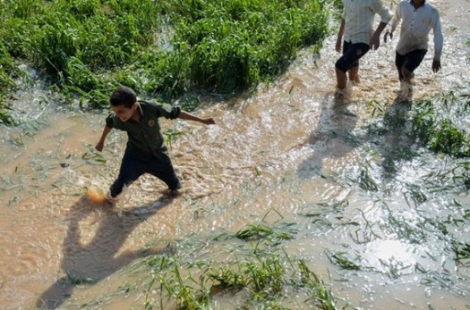 خسارت ۷۰ میلیاردی بارش‌های بهاری به بخش کشاورزی خراسان‌جنوبی