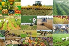 ابلاغ ۲۰۰ میلیارد تومان تسهیلات طرح‌های تولیدی کشاورزی