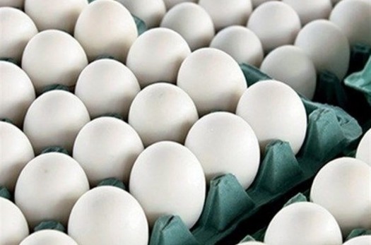 پاسخ مسئولان به کمبود تخم‌مرغ فله‌ای در بیرجند: رعایت پروتکل‌‌های بهداشتی مربوط به آنفلوآنزای پرندگان کار توزیع را کند کرده است
