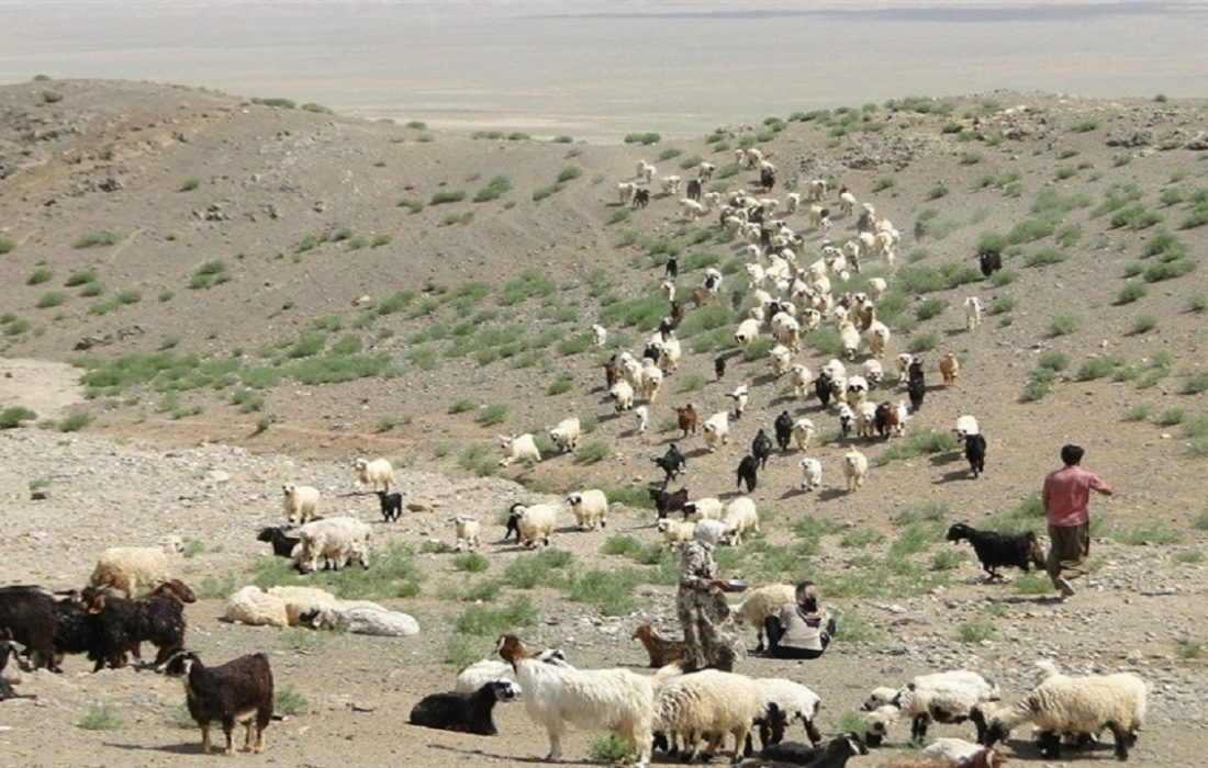 ثبت نام ۲۳ هزار و ۴۱۳ خانوار مرتعدار در سامانه سمطا