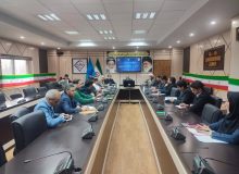 هم افزایی رسانه ای برای نوروزی ایمن و پرنشاط در خراسان جنوبی