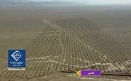 کاشت هزاران اصله نهال در مسیر توسعه پایدار