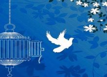 فردا، جشن گلریزان آزادی زندانیان جرائم غیر عمد در خراسان جنوبی