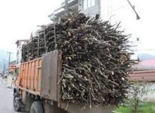 کشف ۴۲ متر مکعب چوب تاغ جنگلی قاچاق در خراسان جنوبی