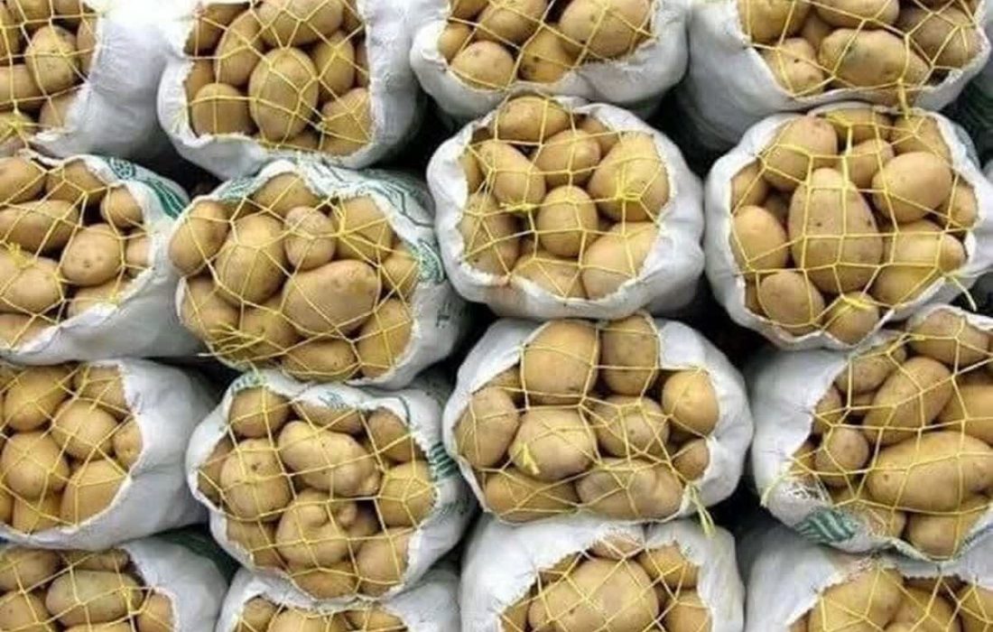 توزیع ۲۵ تن سیب زمینی در مراکز میوه تنظیم بازار خراسان جنوبی