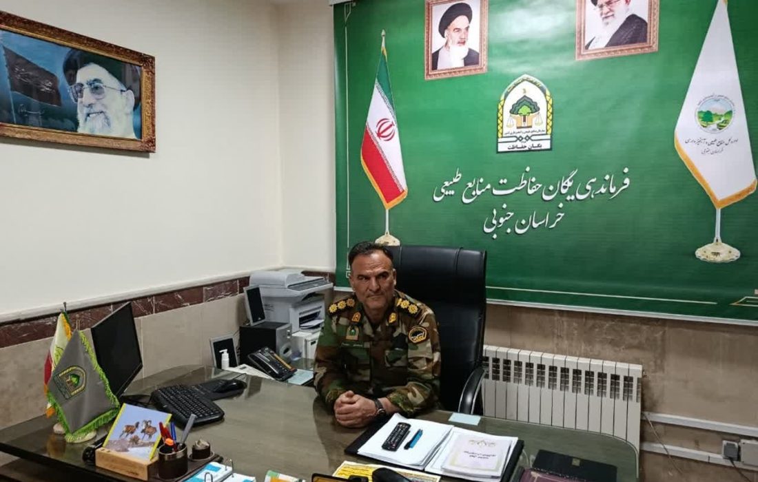تشکیل ۱۵۰ پرونده تخلف حفاظت و بهره برداری منابع طبیعی در خراسان جنوبی