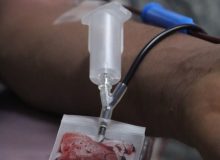 مشارکت ۳ هزار و ۷۲۲ نفر درپویش اهدای خون ازبرف تاشکوفه