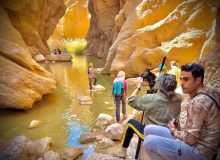 کوچه باغ، دوباره شکوفه زد