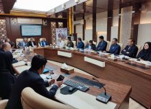 هم افزایی دانشگاه علوم پزشکی و صدا و سیمای خراسان جنوبی برای ترویج فرهنگ فرزندآوری