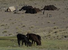 آغاز کوچ بهاره عشایر خراسان جنوبی