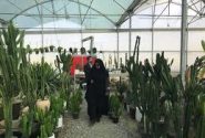 پرداخت ۱۴۵ میلیارد تومان تسهیلات اشتغالزایی در خراسان جنوبی