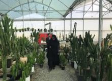 پرداخت ۱۴۵ میلیارد تومان تسهیلات اشتغالزایی در خراسان جنوبی